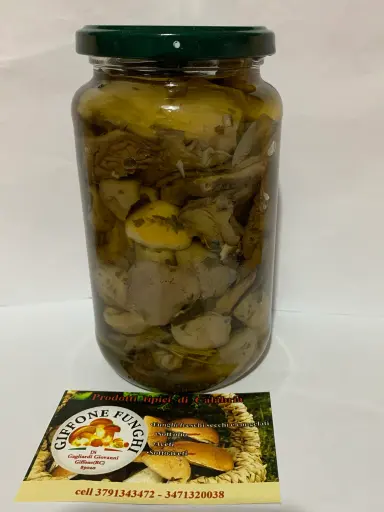 Funghi misti con porcini